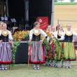 24-08-04-landwehr-braeu-brauereifest-24-012